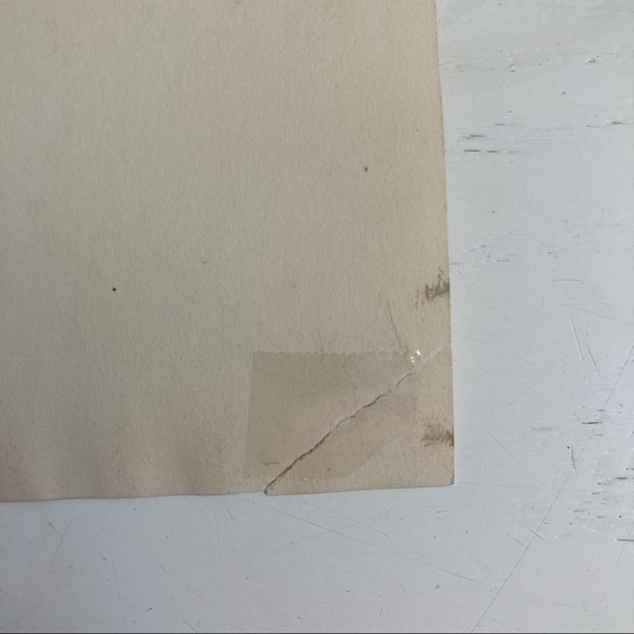 Vintage 1925 Press Photograph Puma in London Zoo - Picture 4 of 5